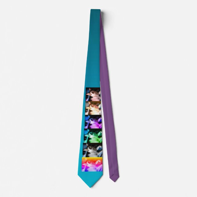 My tabby cat is a Popstar Tie (Front)