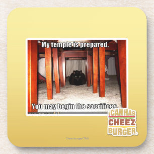 My temple is prepared. coaster