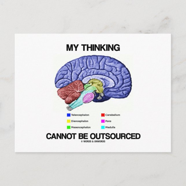 My Thinking Cannot Be Outsourced (Brain Anatomy) Postcard (Front)