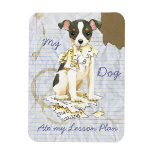 My Toy Fox Terrier Ate my Lesson Plan Magnet