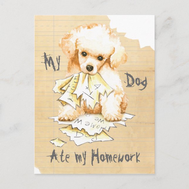 My Toy Poodle Ate My Homework Postcard (Front)