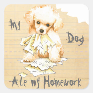 My Toy Poodle Ate My Homework Square Sticker