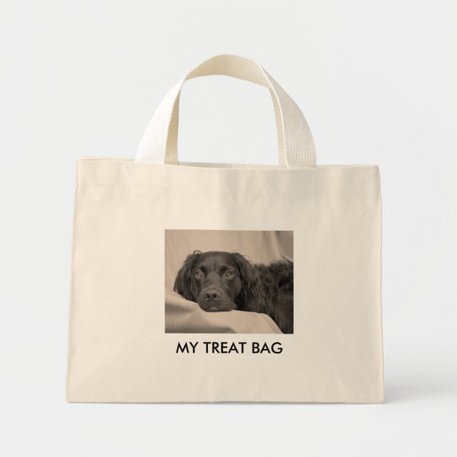 My Treat Bag (Front)