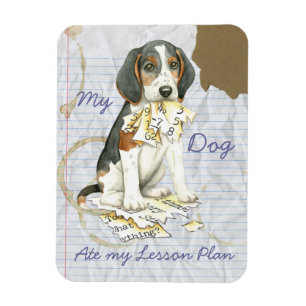 My Treeing Walker Coonhound Ate My Lesson Plan Magnet