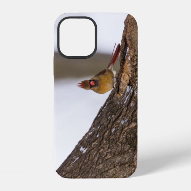 My Troll Do iPhone Case (Back)