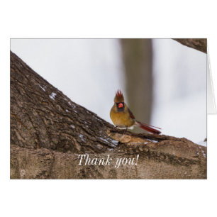 My Troll Do Thank You Card