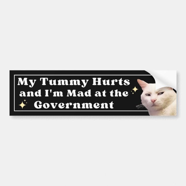 My Tummy Hurts and I'm Mad at the Government Funny Bumper Sticker (Front)
