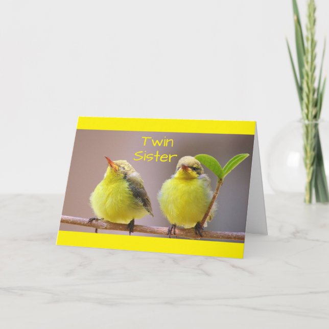 MY TWIN, MY SISTER, MY BEST FRIEND-BIRTHDAY CARD (Front)