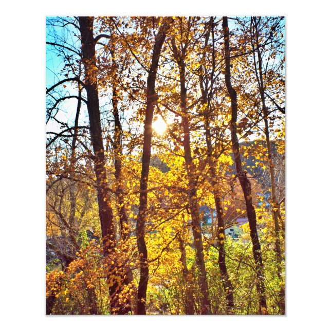 my view photo print (Front)