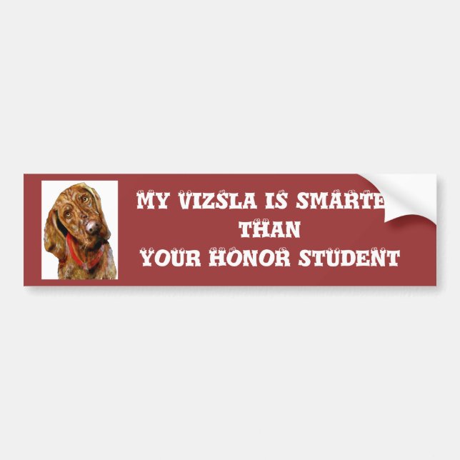My Vizsla is smarter Bumper sticker (Front)