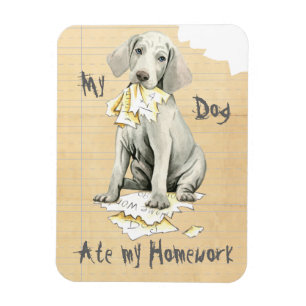 My Weimaraner Ate My Homework Magnet