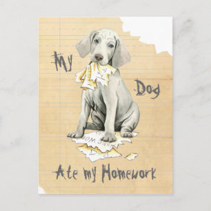 My Weimaraner Ate My Homework Postcard