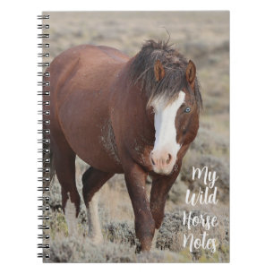 My Wild Horse Notes Notebook