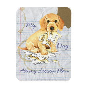 My Wirehaired Dachshund Ate my Lesson Plan Magnet