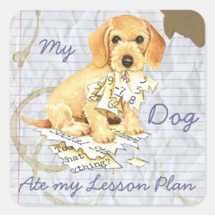 My Wirehaired Dachshund Ate my Lesson Plan Square Sticker