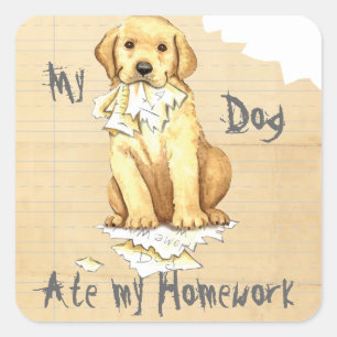My Yellow Lab Ate my Homework Square Sticker