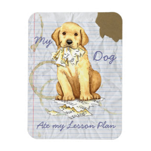 My Yellow Lab Ate my Lesson Plan Magnet