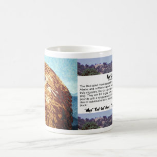 Mya - Red-tail Hawk Mug
