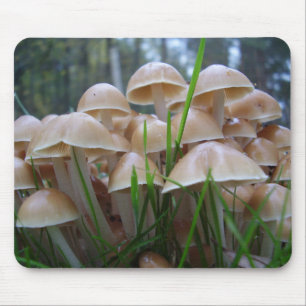 Mycena inclinata Mushroom Mouse Mat