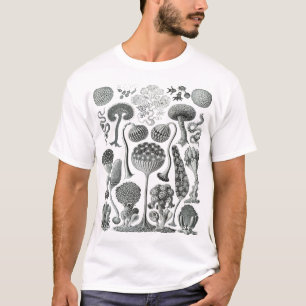 Mycetozoa - Kunstformen der Natur (1904) by Ernst  T-Shirt
