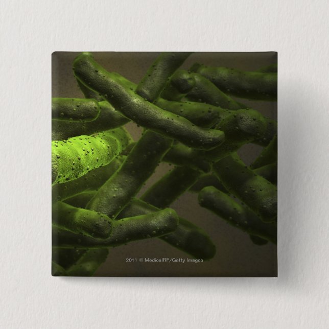 Mycobacterium tuberculosis cells 15 cm square badge (Front)