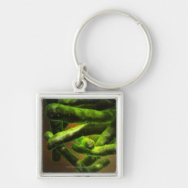 Mycobacterium Tuberculosis Key Ring (Front)