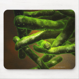 Mycobacterium Tuberculosis Mouse Pad