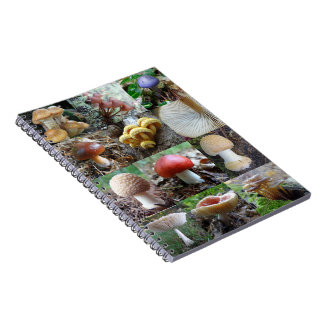 MycoJournal Notebook