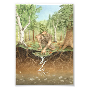 Mycorrhizal fungi dryad photo print