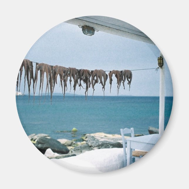 Mykonos, Greece Magnet (Front)