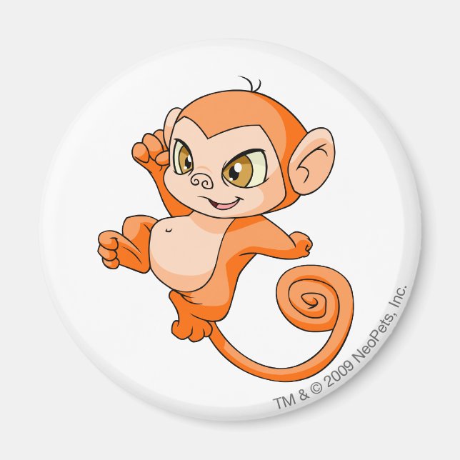 Mynci Orange Magnet (Front)