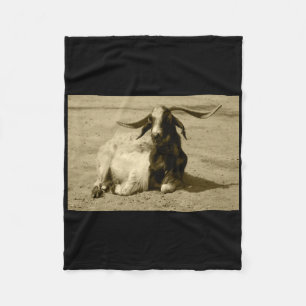 Myotonic Goat Relaxed Benidorm Tint Sticker Fleece Blanket