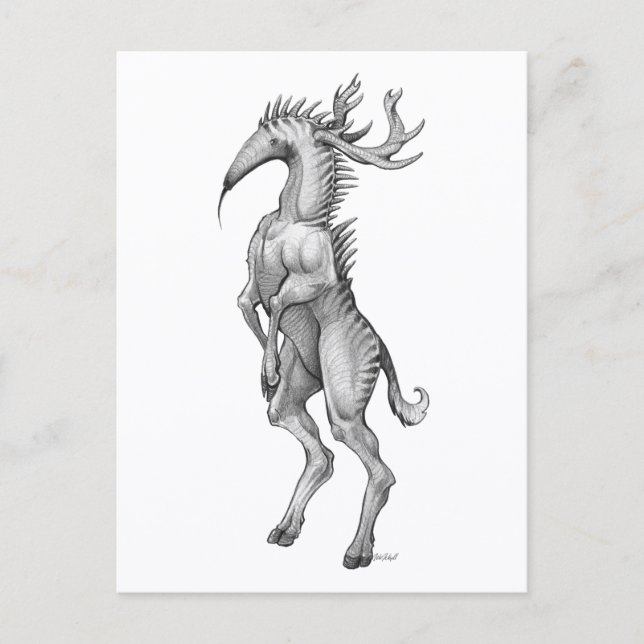 Myrmedeer - Postcard (Front)