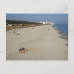 Myrtle Beach State Park, South Carolina Postcard