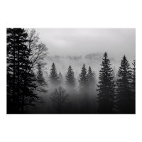 Mysteries of the Mist Glossy