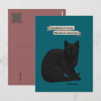 Mysterious Black Cat Quote Personal Teal Pink