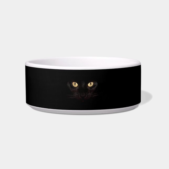Mysterious Cat Eyes Bowl (Front)