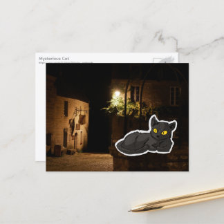 Mysterious Cat Postcard