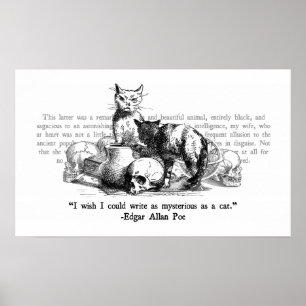 Mysterious Cats Poster