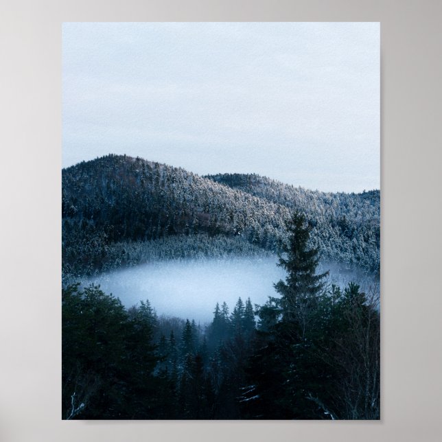 Mysterious fog trapped in winter spruce forest poster (Front)