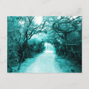 Mysterious Footpath, Moonlight path, Trees Postcard