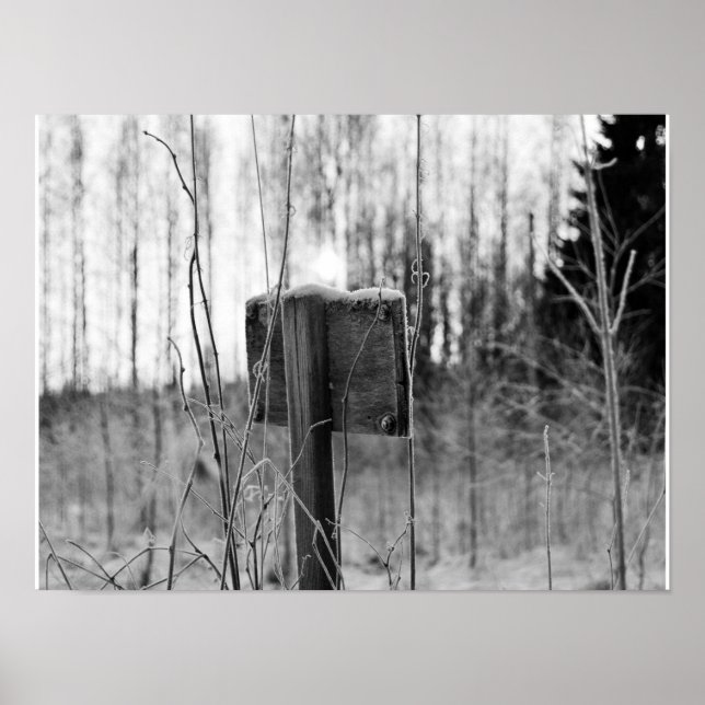 Mysterious Poster (Front)