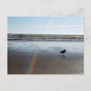 Mysterious Rainbow Postcard