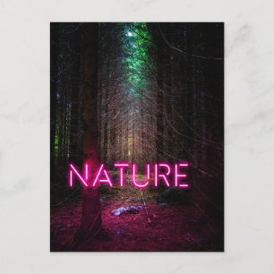 Mysterious spruce forest nature neon magenta sign postcard
