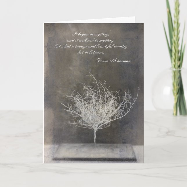 Mystery Card (Front)