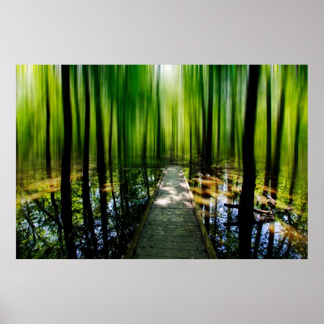 Mystery Path  Poster (Front)