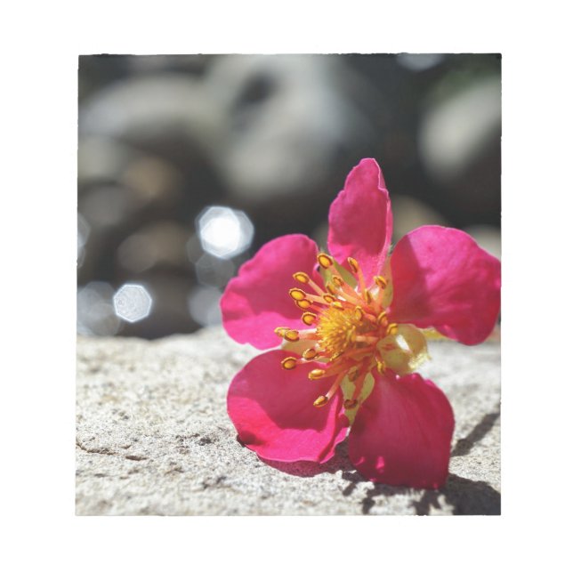 Mystery Pink Flower Notepad (Front)
