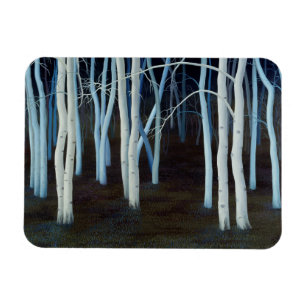 Mystic 2004 magnet