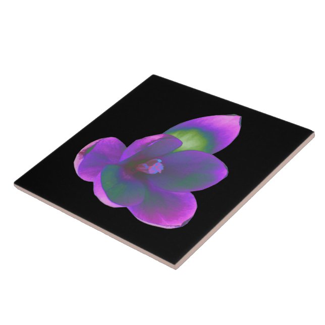 Mystic Beauty Crocus Flower Tile (Side)