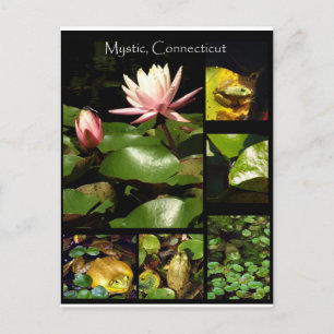 Mystic, Connecticut Postcard